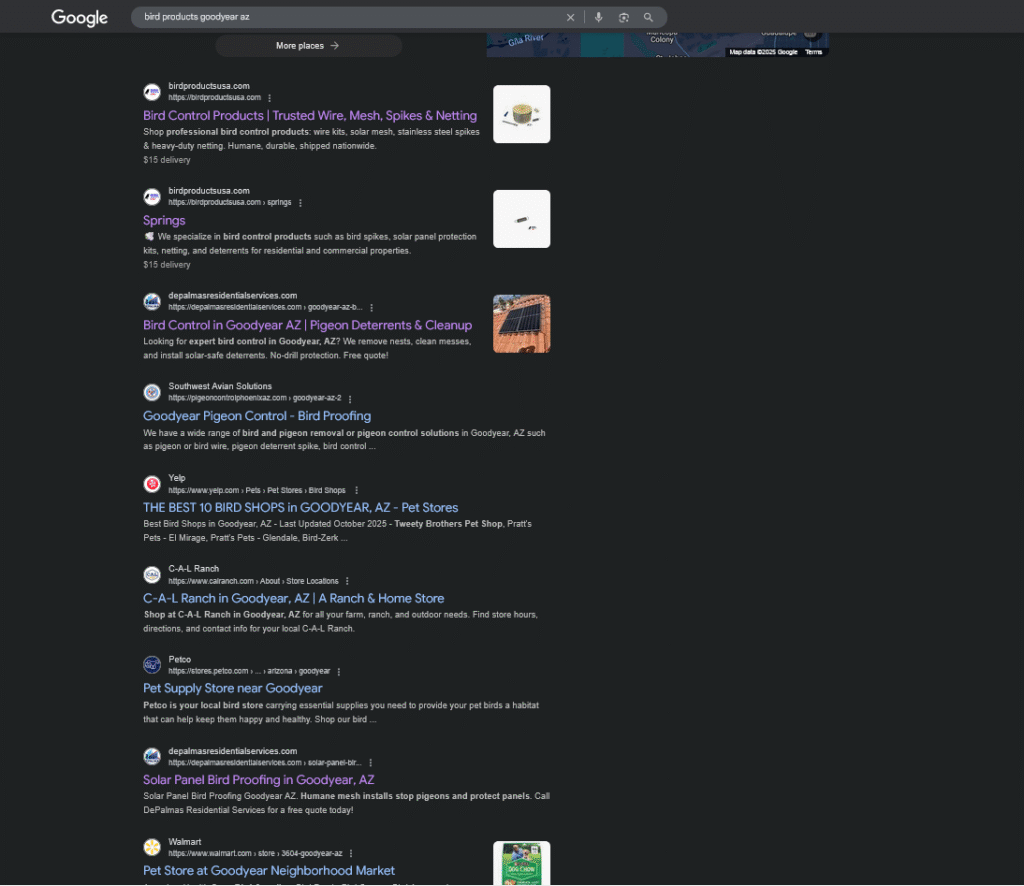Build My Business Blueprint ranking results on Google
